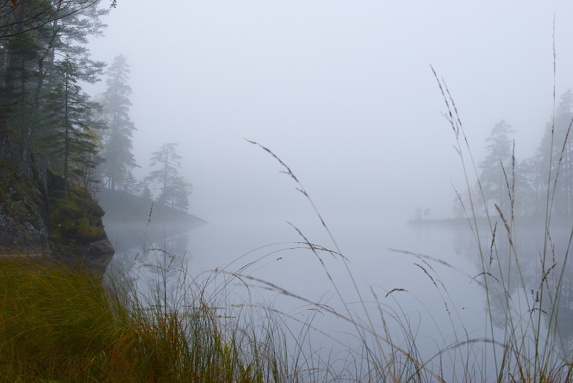 Misty lake surrounded by forest in Nuuksio National Park